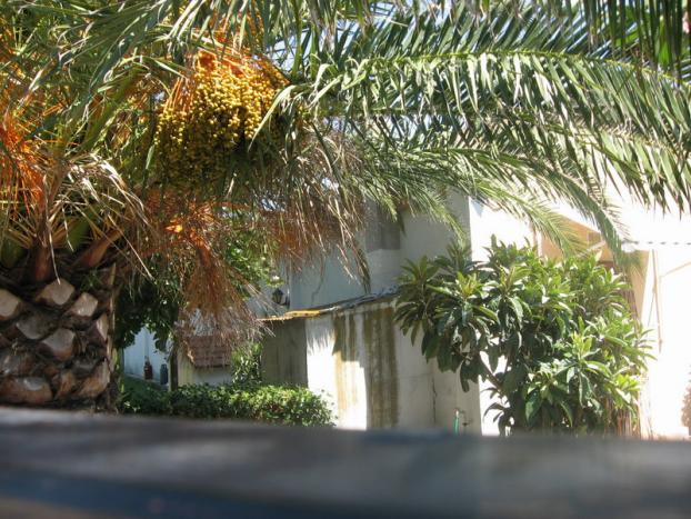 Fotografia dell'edificio nº3
